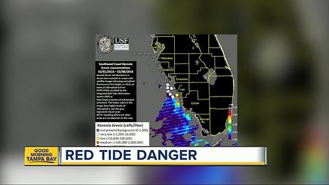 Red tide bloom persists along Florida's west coast