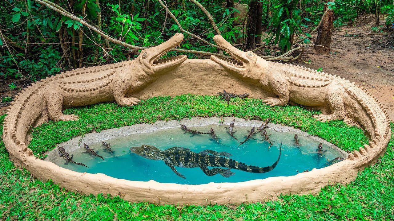 Build the Most Amazing Crocodile Pond For My Newborn Crocodile