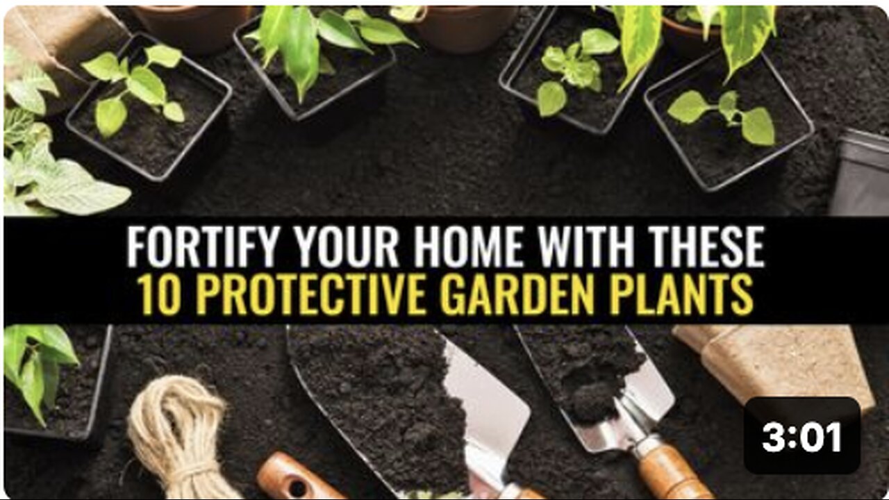 Fortify your home with these 10 protective garden plants