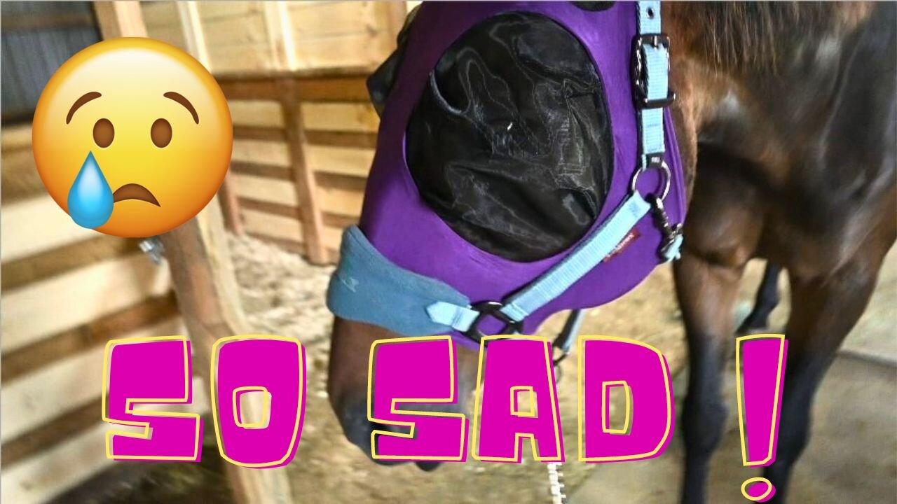 Our Beloved Boy Might Not Make It!