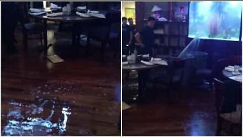 Aquário gigante se quebra em restaurante nos EUA