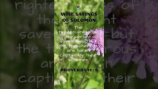 Wise Sayings of Solomon | Proverbs 11:6