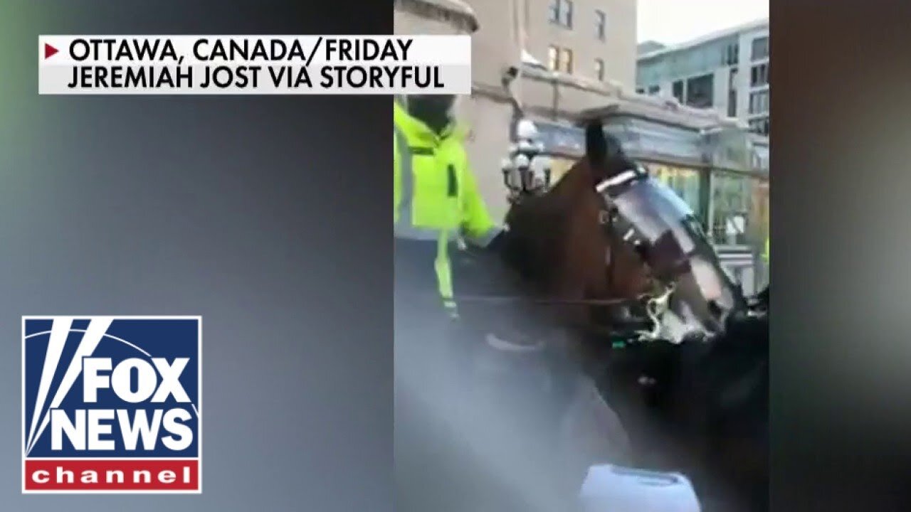 Incident of woman trampled by Canadian police horse under investigation