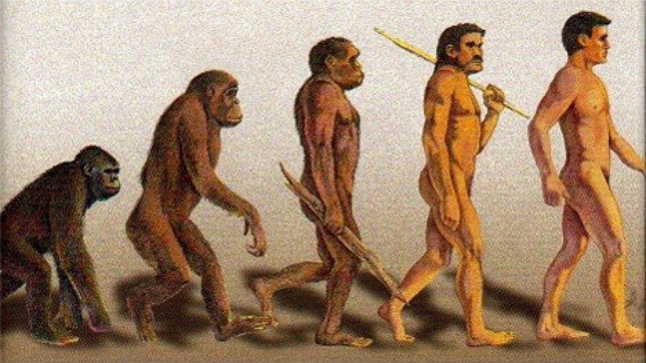 Theory of Evolution | Jeranism