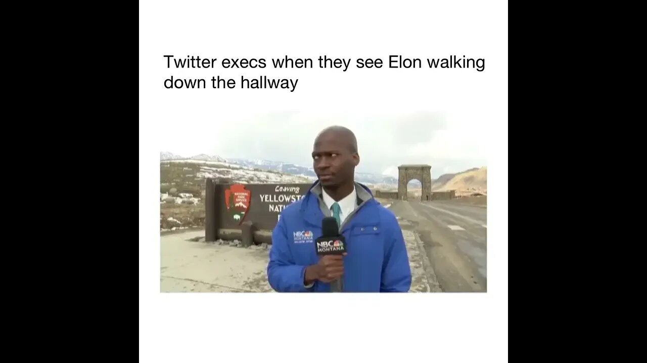 Twitter execes when they see Elon Walking down the Hallway #shorts #twitter #elonmusk