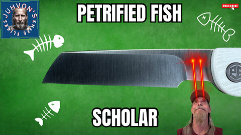 Petrified Fish - Scholar Review. A Unique Design!!