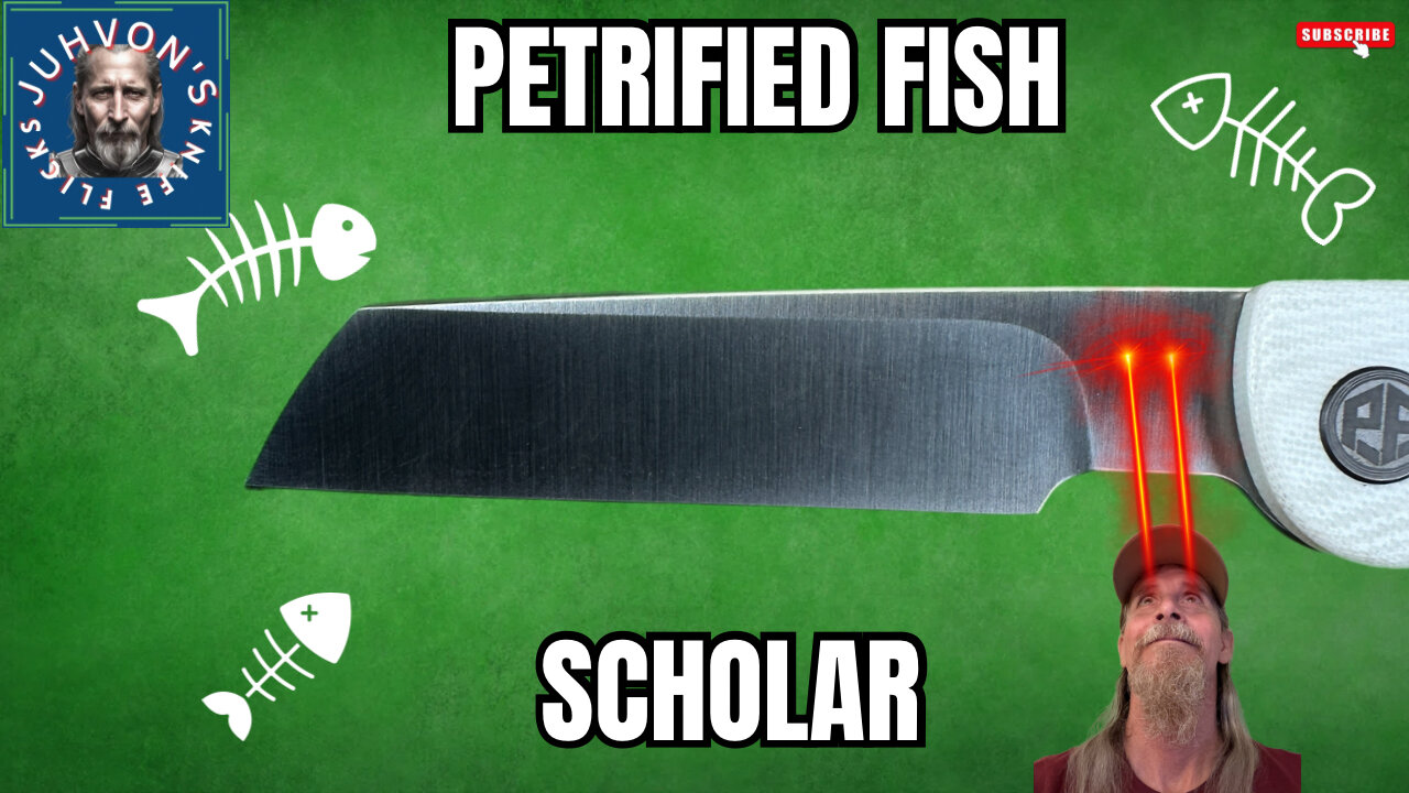Petrified Fish - Scholar Review. A Unique Design!!