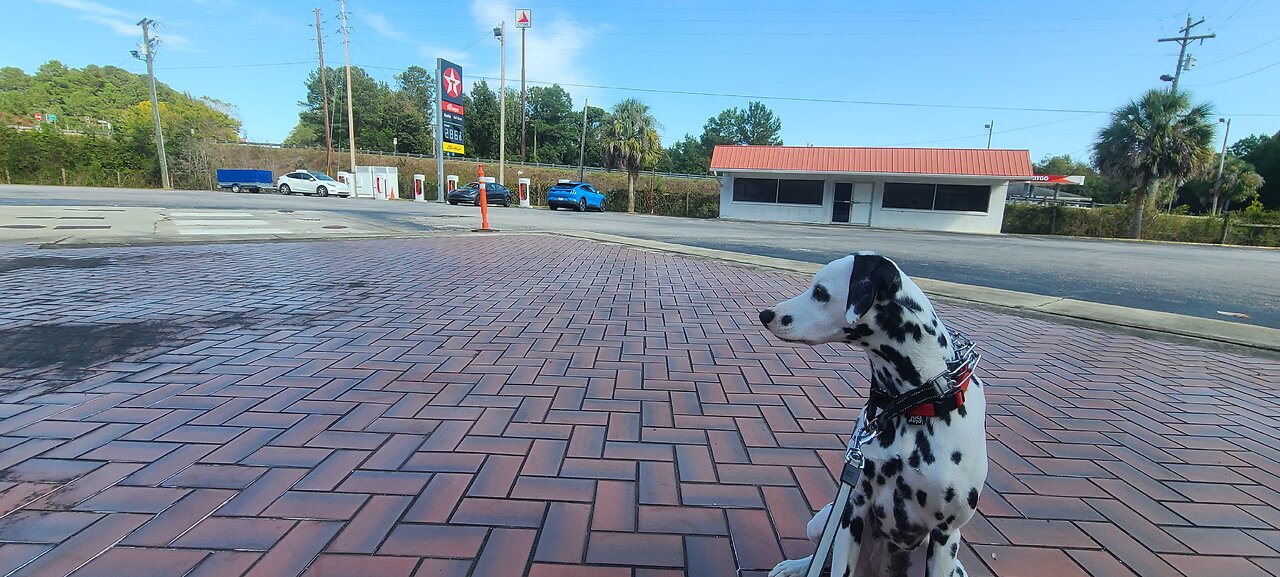 Luna visits Summerton Tesla Charger