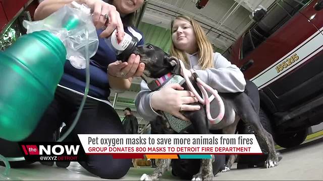 Public support leads to donation of more than 800 pet oxygen masks to DFD