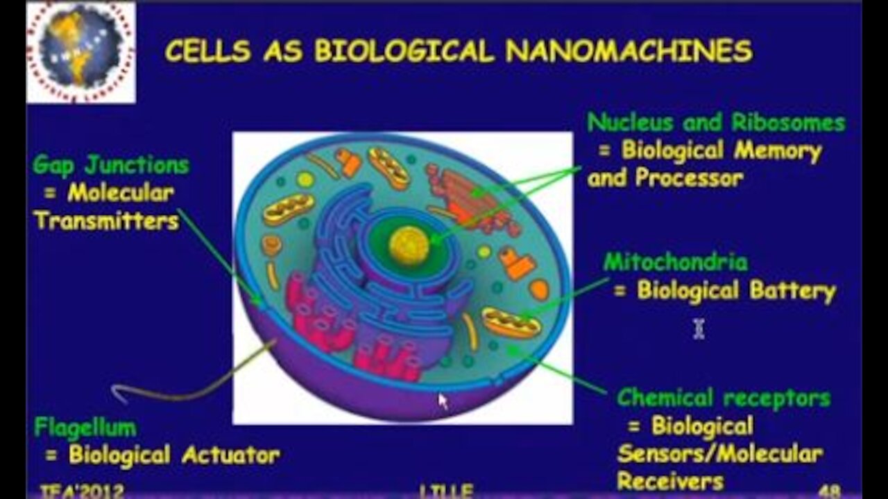 A.I. & Synthetic Biology Poised To Create Alien Life On Our Planet - Wow