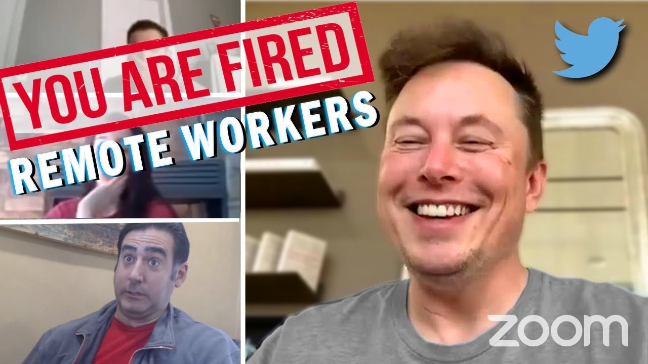 Elon Musk fires employees in twitter meeting DUB