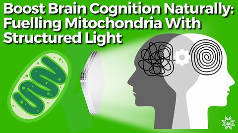 How To Bio-Hack Mental Cognition and Support Brain Health Naturally?