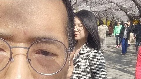 2023여의도 윤중로벚꽃길