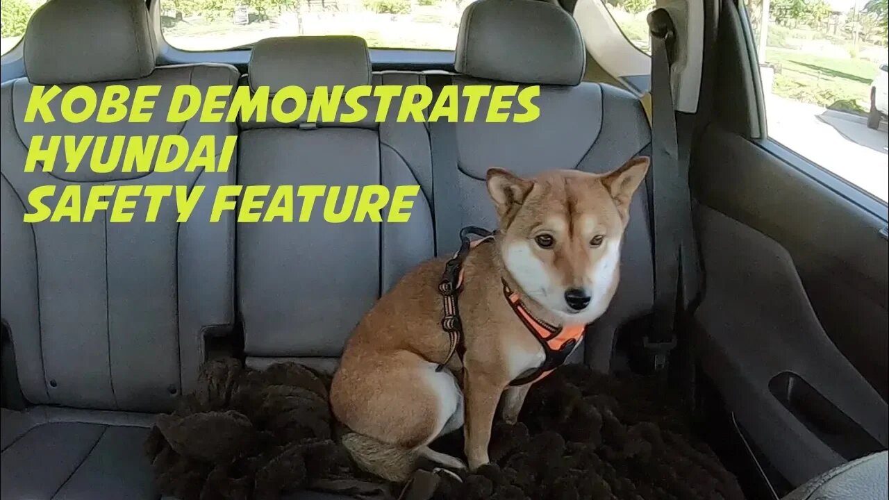 2019 Santa Fe Safety Video with Kobe