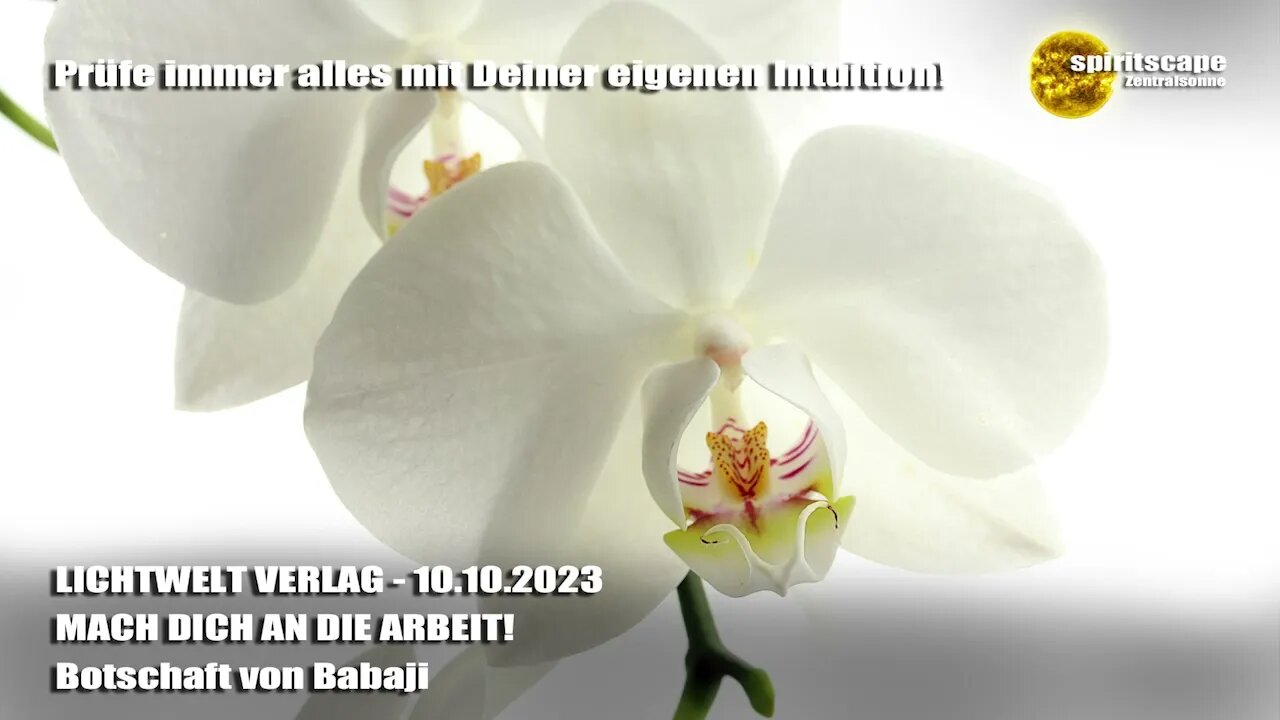 MACH DICH AN DIE ARBEIT! - Botschaft von Babaji ~ LWV