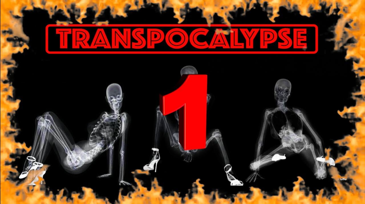 Tran$cheme [Transpocalypse]