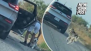 Texas man arrested for abandoning dog on side of the road
