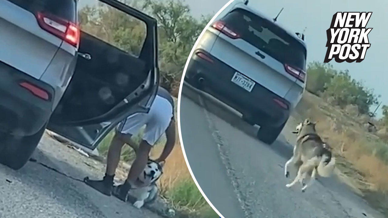 Texas man arrested for abandoning dog on side of the road