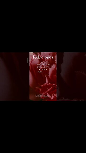 Consejos de Relaciones