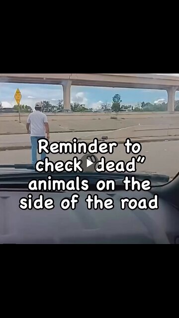PSA: Always check to see if that lifeless puppy or kitten on the side of the road...
