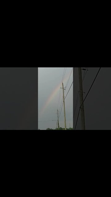 God's Promise in Action