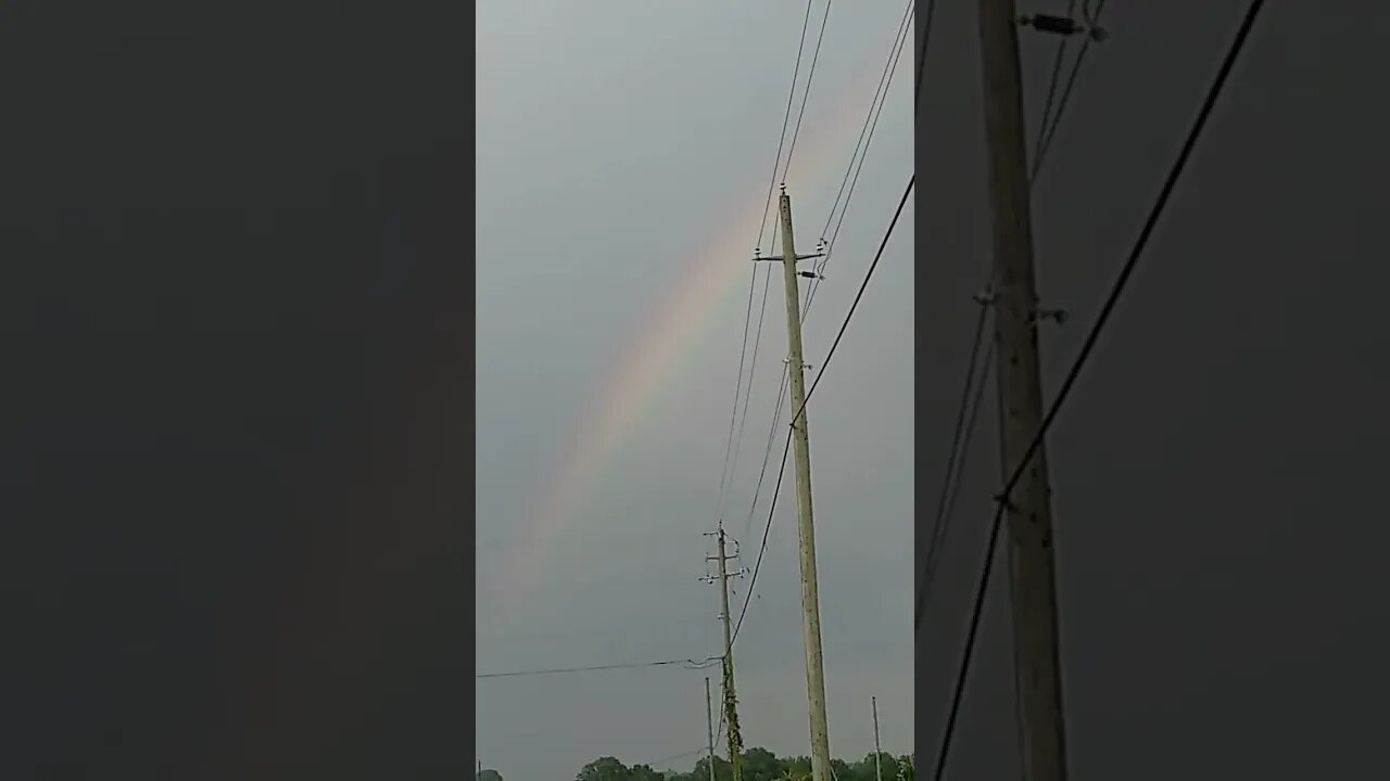 God's Promise in Action