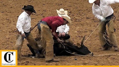 Stray Gathering - 2023 Coors Cowboy Club Ranch Rodeo | Saturday