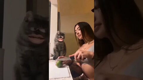 What you looking at?