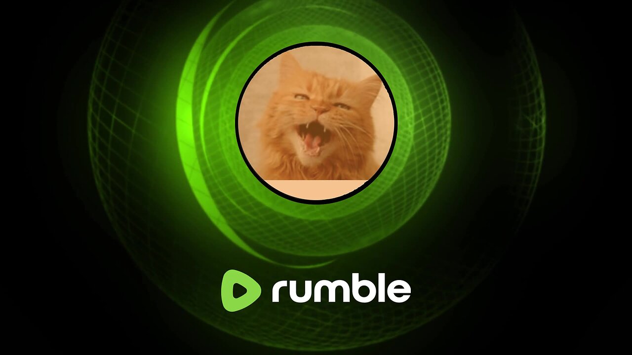 FOUR YEAR ANNIVRSARY OF THECATSQUAD2