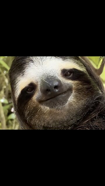 LISTENING THROUGH RESTLESSNESS - DAILY DEVOTIONAL ❤️