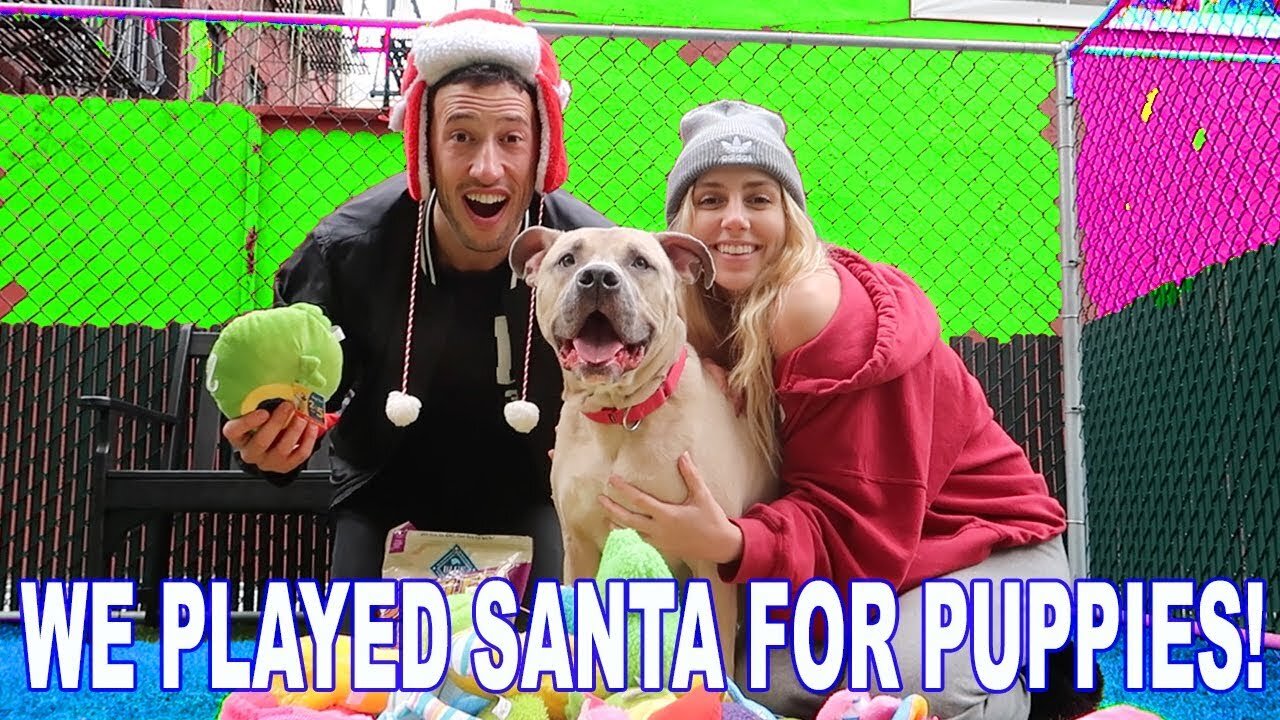 WE PLAYED SANTA FOR PUPPIES! (at the animal shelter)