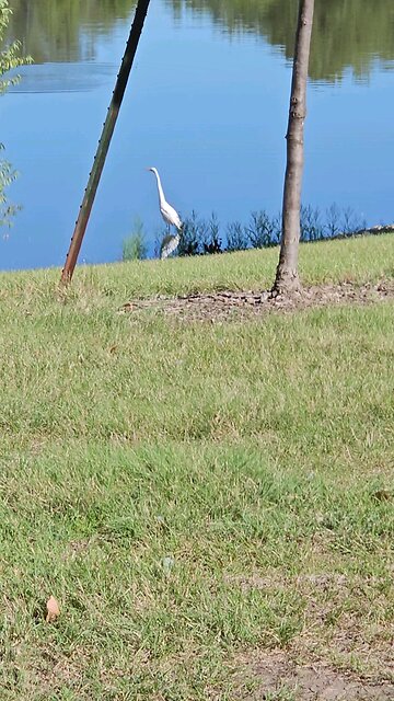 My Peaceful Place - What Would God Want?