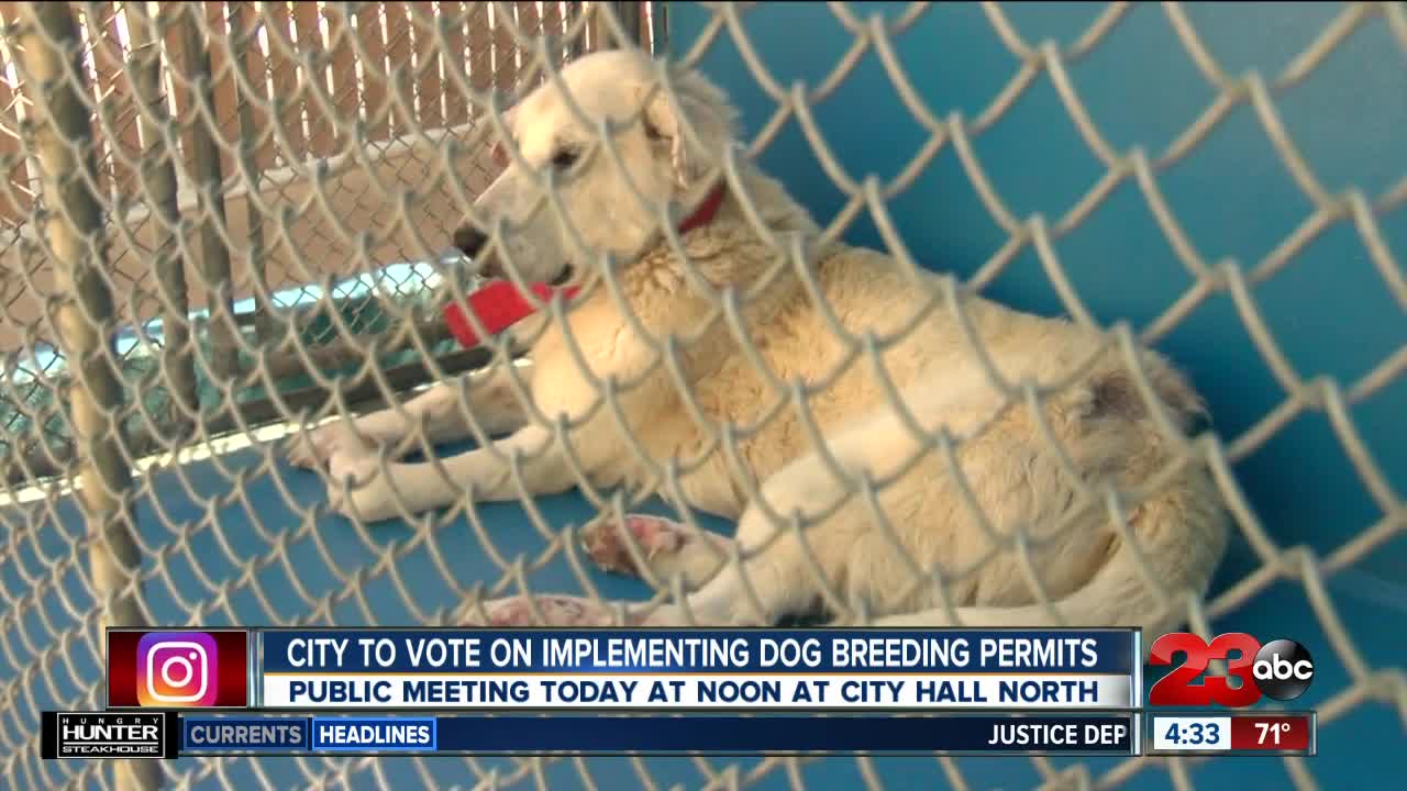 Meeting to be held Monday to discuss new rules for dog breeders