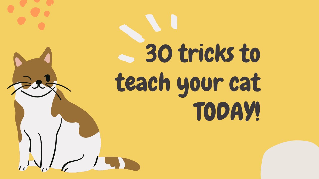 Learn 30 tricks to teach your cat TODAY!