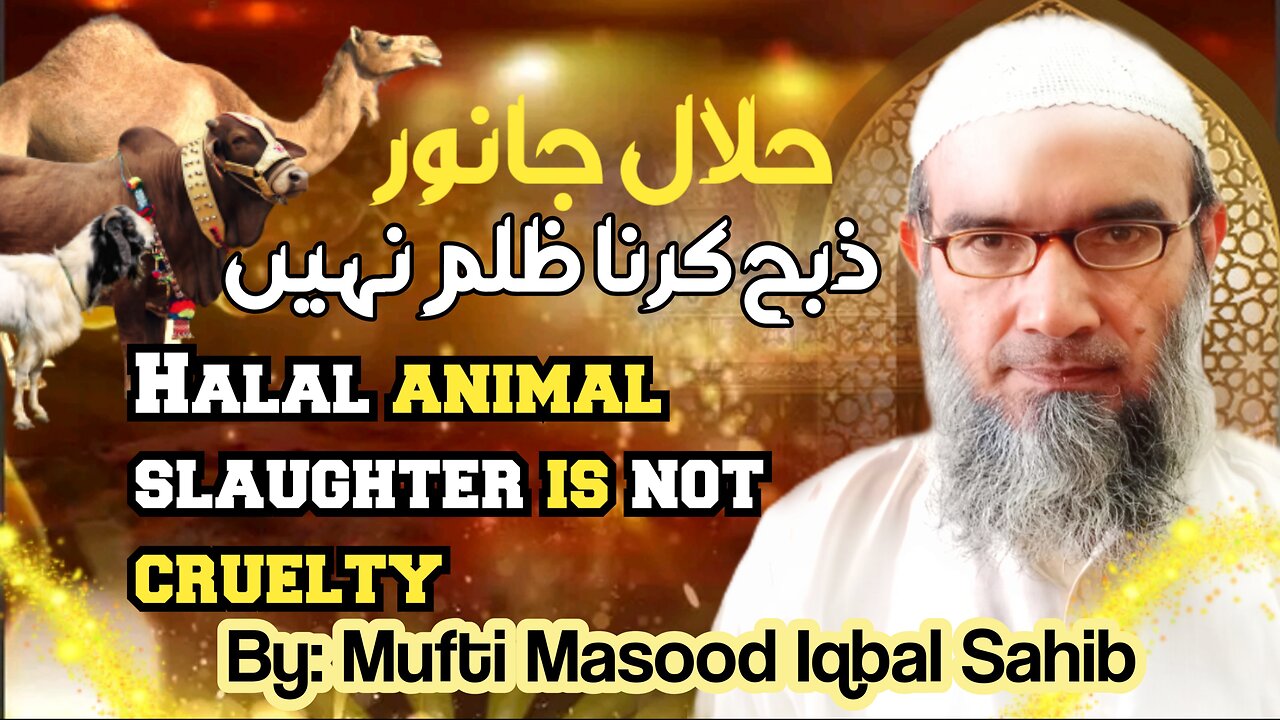 Slaughtering a halal animal is not cruelty By Mufti Masood Iqbal Sahib