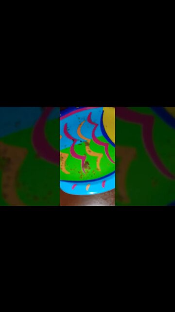 Tell me about those cookies Nova- funny