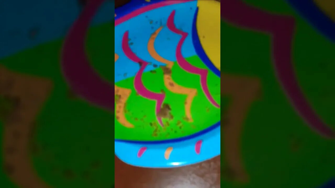Tell me about those cookies Nova- funny