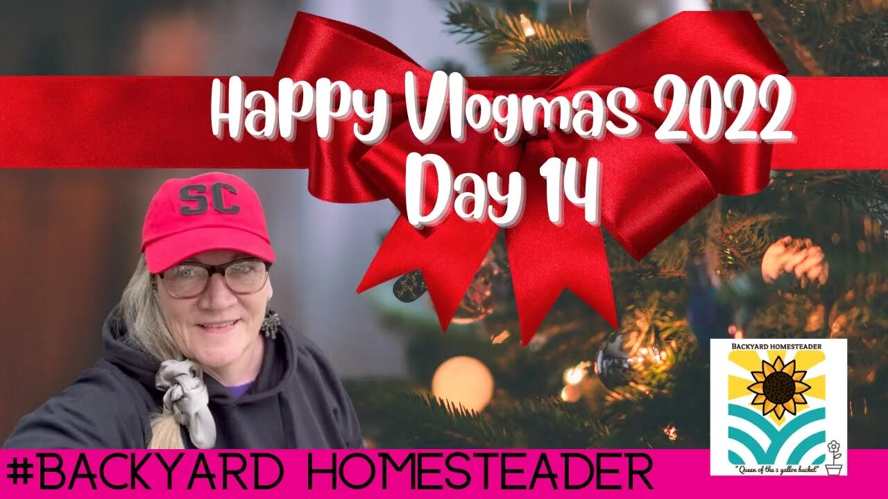 Vlogmas 2022 Day 14 | Christmas Quote | Quick and Easy Gift Ideas | Tips to grow Poinsettia's