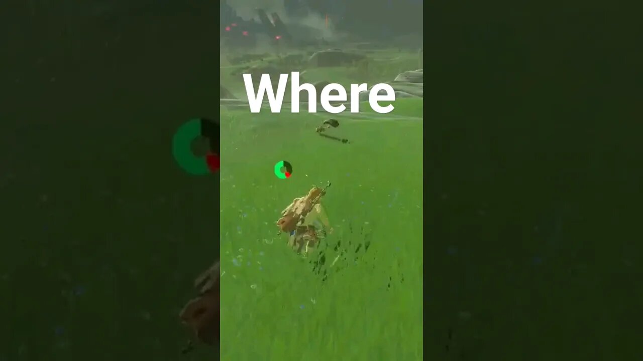 Where He Go? Seriously? #breathofthewild #botw #zelda