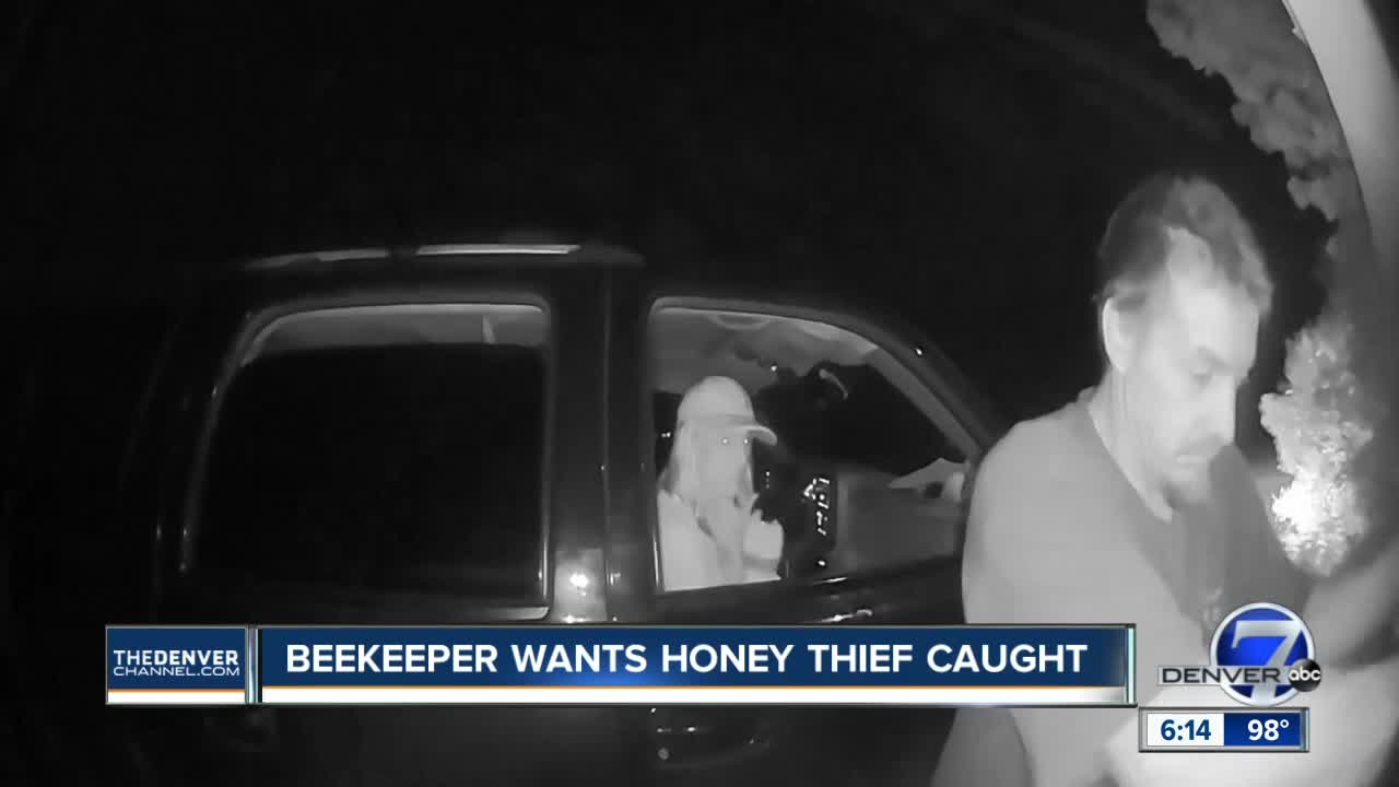 Sting of honey theft hurts worse than sting of bees for one Weld County beekeeper