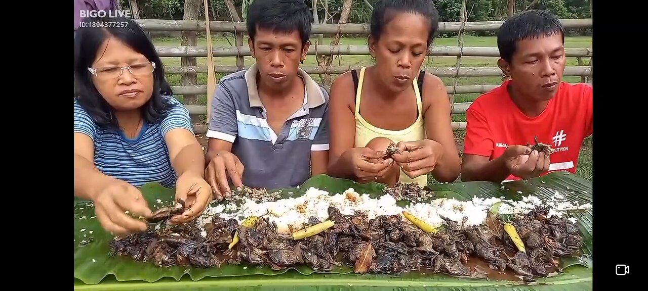 rice and frogs for tea yum yum yum 🤢🤮🤣🤣🤣