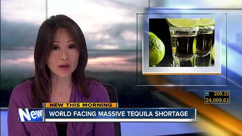 World facing massive tequila shortage