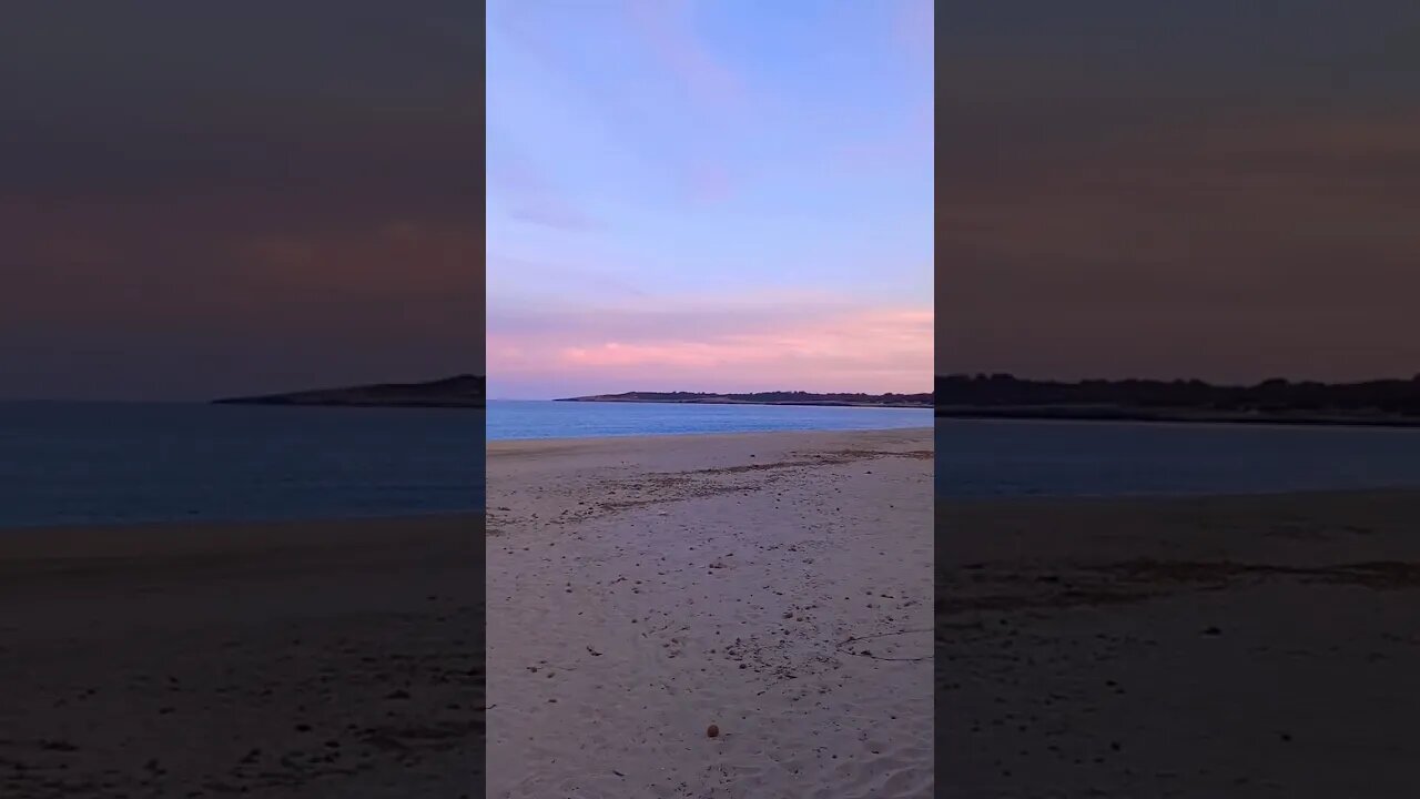 Colors