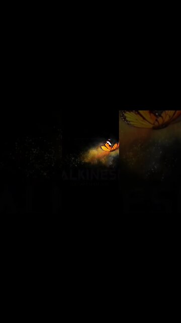 Arquėtipo Borboleta - Subliminal com ativação instantânea.