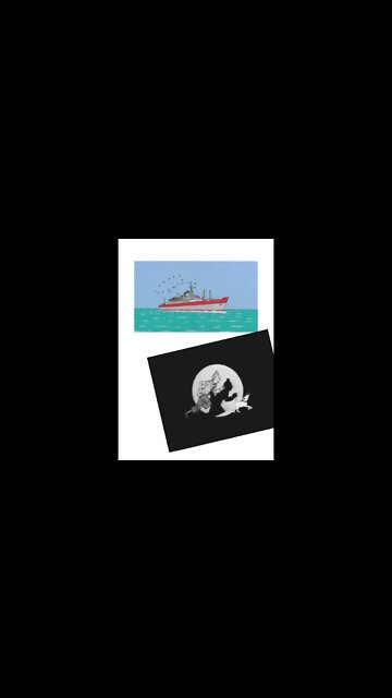 as aventura de tintin #shorts