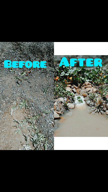 Building a tinny pond