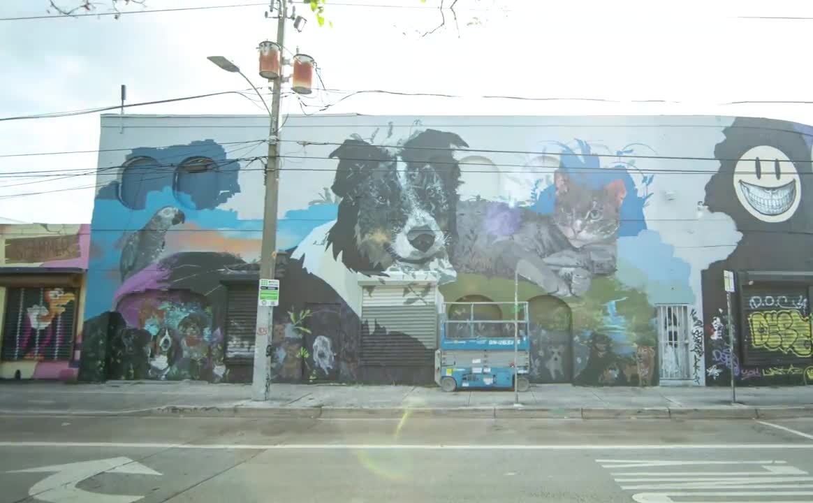 Timelapse video of Ultimate Pet Project mural in Wynwood