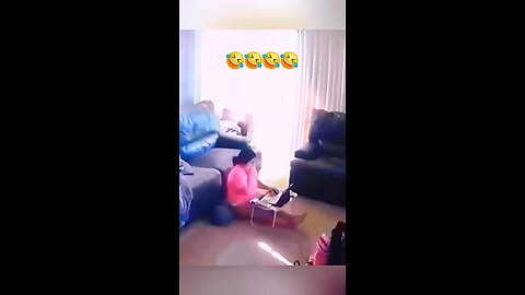 Dogs aren’t always “man’s best friend”.