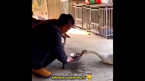 "Dog Locks Itself in 😂Cage Out of Fear While Owner Sharpens Knife"