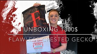 UNBOXING 1300$ Flawless crested gecko!!